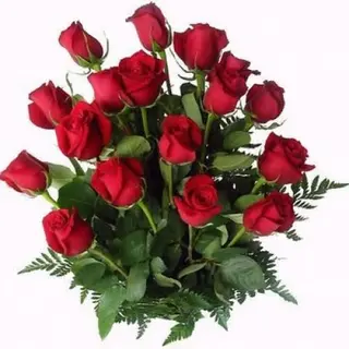 Rosas rojas (12 uds.)