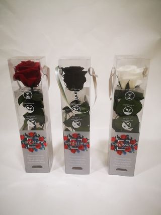 Rosa Eterna Liofilizada Roja 27 Cm.