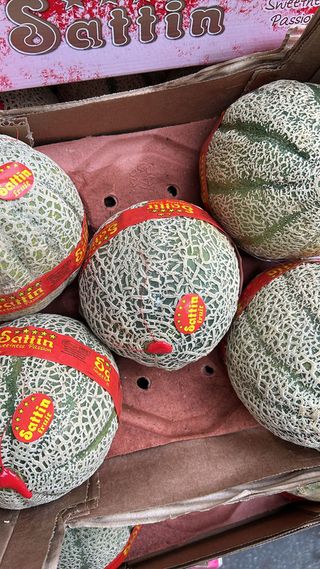 Melone