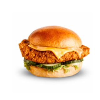 Chicken Burger & Fries