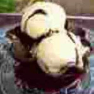 Tulipa De Chocolate Y Helado Artesano De Vainilla