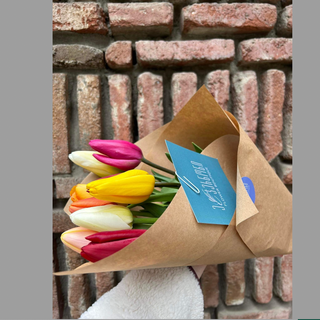 ფერადი ტიტა (10 ცალი)