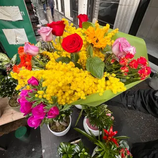 Festa della donna 