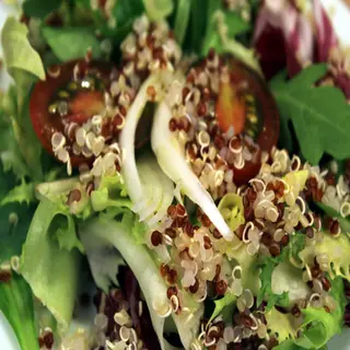 Amanida de Quinoa