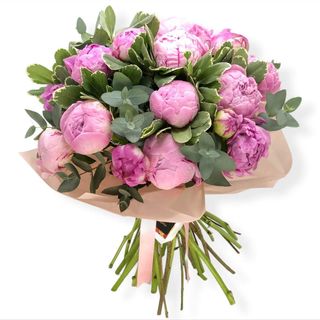 17 bujori cu eucalipt 