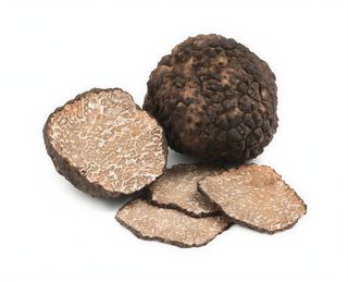 tartufo nero