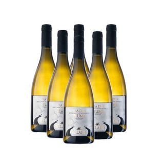 Tra Due Fiumi – Pallagrello Bianco IGT Roccamonfina – Cantine Telaro