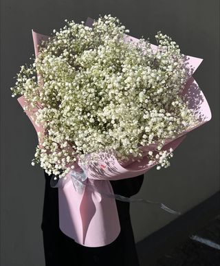 15 гілок  білої гіпсофіли в упакуванні №16