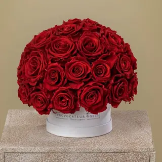 red luxury dial