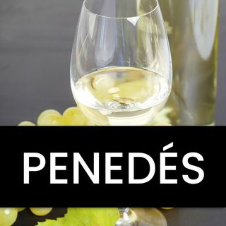 Vino Blanco D.O. Penedés (750 ml)