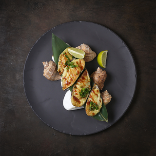 Զելանդական միդիա