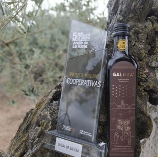 Aceite Trujal Galilea Primer Premio Cooperativas