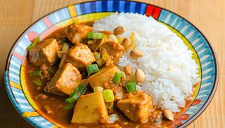 Kids massaman curry with chicken