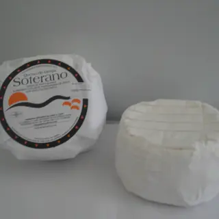 Soterano Pasta Blanda Penicillium