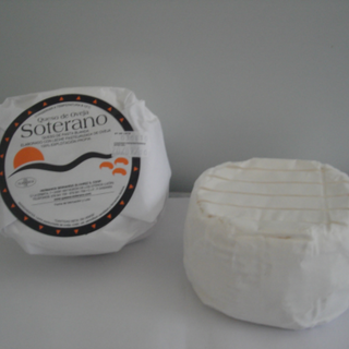 Soterano Pasta Blanda Penicillium