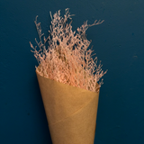 Limonium Rosa claro