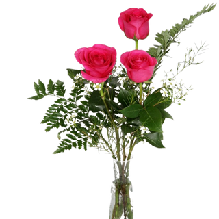 Rosas Rosas 3 Unidades