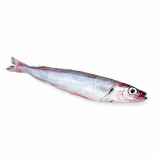 Bacaladilla Entero Sin Limpiar  Kg.