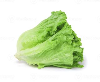 Салат Латук 