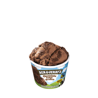 Ben & Jerry's Choco Fudge Brownie 100 ml