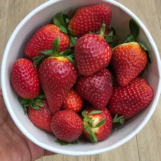400  gr di fragole di primissima qualità 