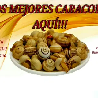 Caracoles guisados tarrina 1kg aprox