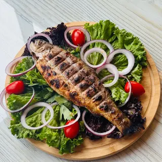 Скумбрия