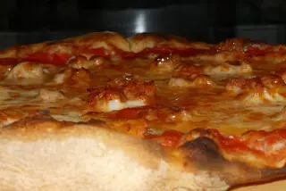 Salsiccia