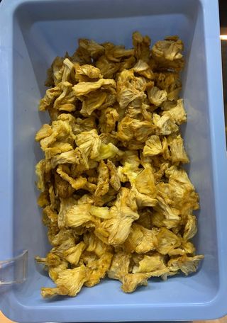 Ananas disidratata al naturale 100 g