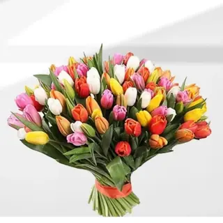Tulipani