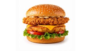 Hamburger fillet filler