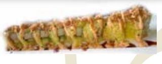 U43 Fashion spicy roll