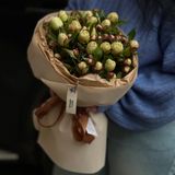 17 півоній gardenia в упакуванні