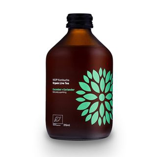 Vigo® Kombucha pepino + cilantro