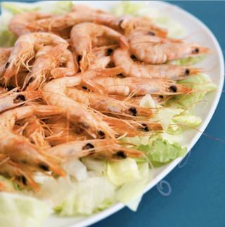 Señora Gamba Homenaje