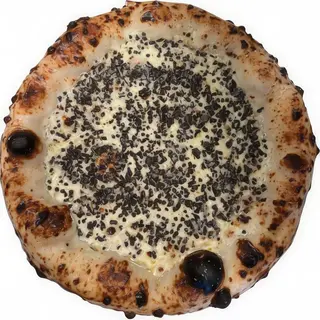 DALMATA