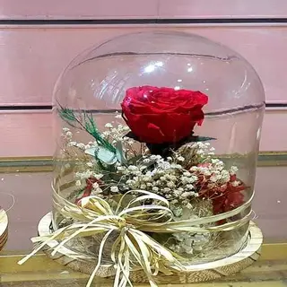 Rosa Eterna Roja
