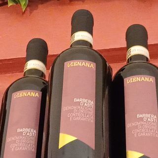 Vino Barbera di Asti
