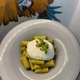 Pasta with pesto and burata