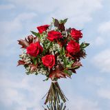 Ramo 6 Rosas Rojas MP