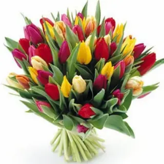 Cartucho Tulipanes Variados