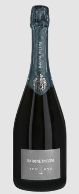 Barone Pizzini-Francia Corta Bio