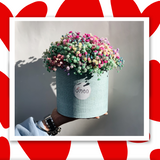 ფერადი გიფსოფილა(Large size)