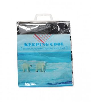 (108442) Vrećica termo 33x18x40cm BW2-007