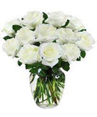 12 ROSE BIANCHE