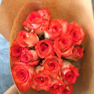 Bouquet 15 Roses Panaché Orange