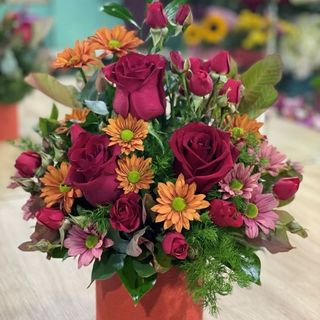 შემოდგომა