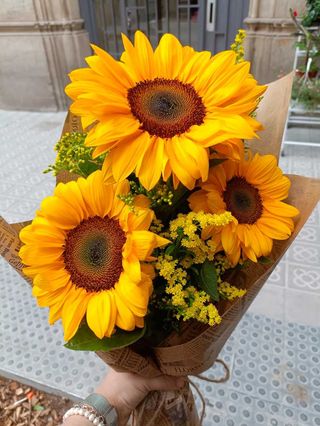 Girasoles con solidago