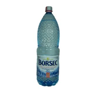 Borsec apa plata 2l