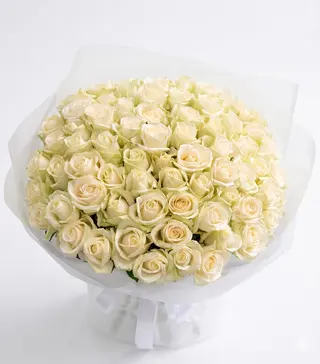 Blanche Éternelle – 100 Roses